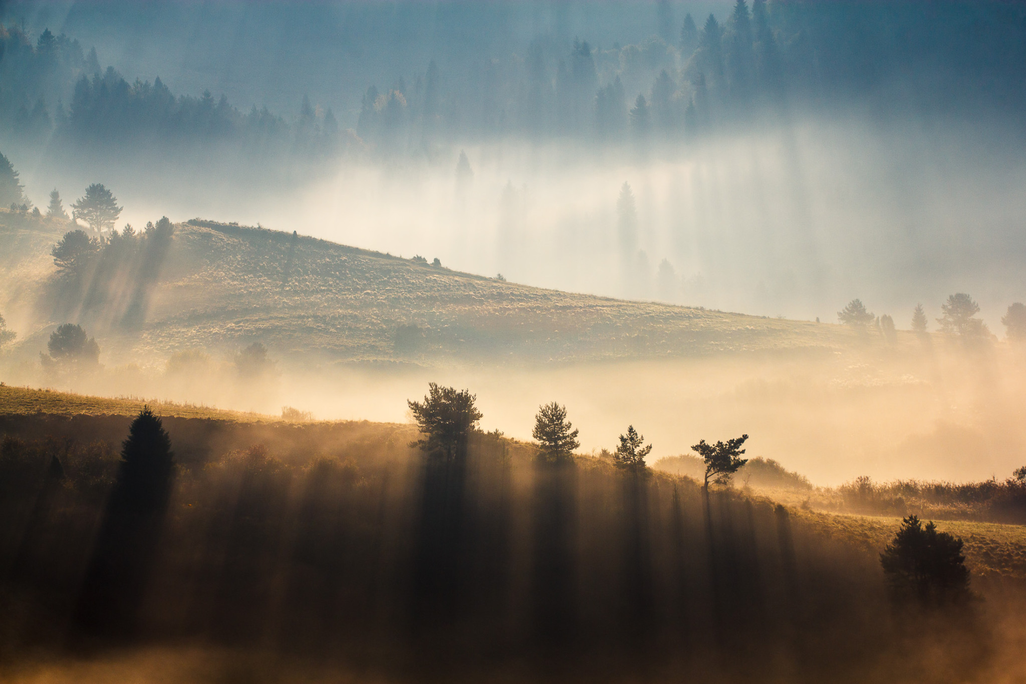 pieniny